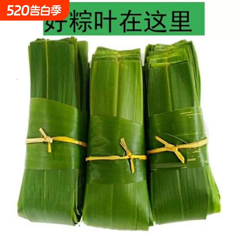 粽叶新鲜 大号粽子叶包粽子的叶子大叶包粽子粽叶子箬叶竹叶批发