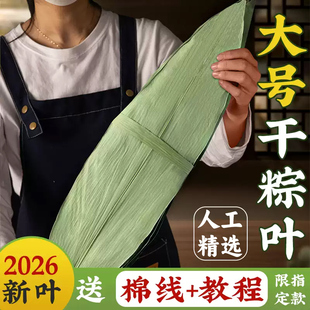 粽子叶干大号特新包的棕商用家箬竹鲜批发旗舰店材料端午芦