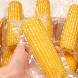 有机玉米五寨黄糯玉米真空包装新鲜现摘香甜粗粮非转基因25年新