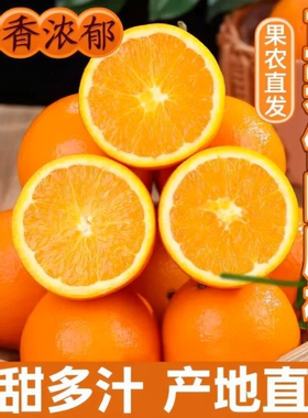 正宗伦晚脐橙橙子新鲜秭归脐橙当季水果手剥冰糖甜橙大果整箱包邮