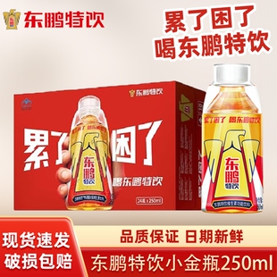 东鹏特饮小金瓶250m牛磺酸b族维生素饮料熬夜能量饮品l提神整箱