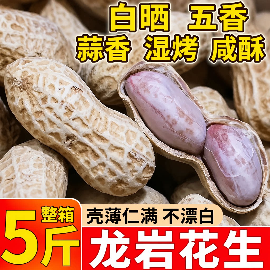 龙岩花生水煮咸干湿烤蒜香带壳零食熟袋特产年货烤花生五香白晒