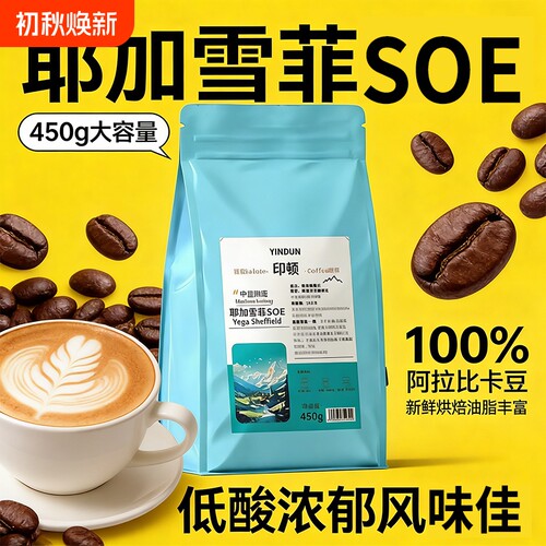 耶加雪菲埃塞俄比亚咖啡豆SOE中度烘焙咖啡馆手冲现磨花香果香