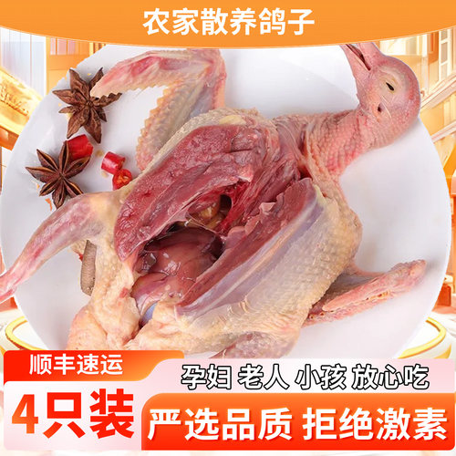 鸽子新鲜鲜活宰杀土鸽子