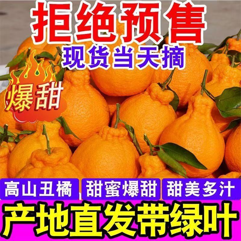 当季丑橘新鲜上市蜜橘桔子时令水果皮薄易剥果肉饱满爆汁清甜无籽
