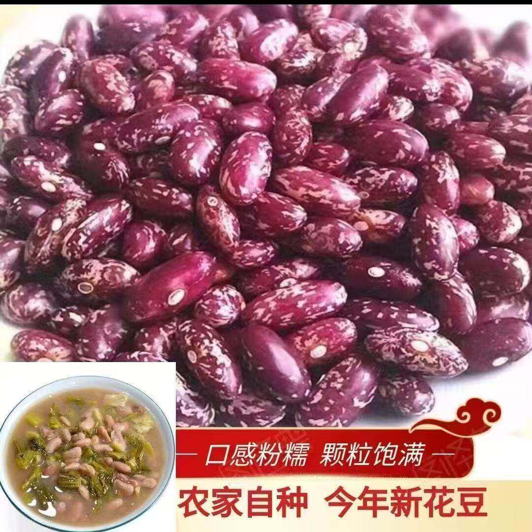 新四季豆贵州花豆豆米农家自种红豆子酸菜豆米花芸豆大红豆杂豆