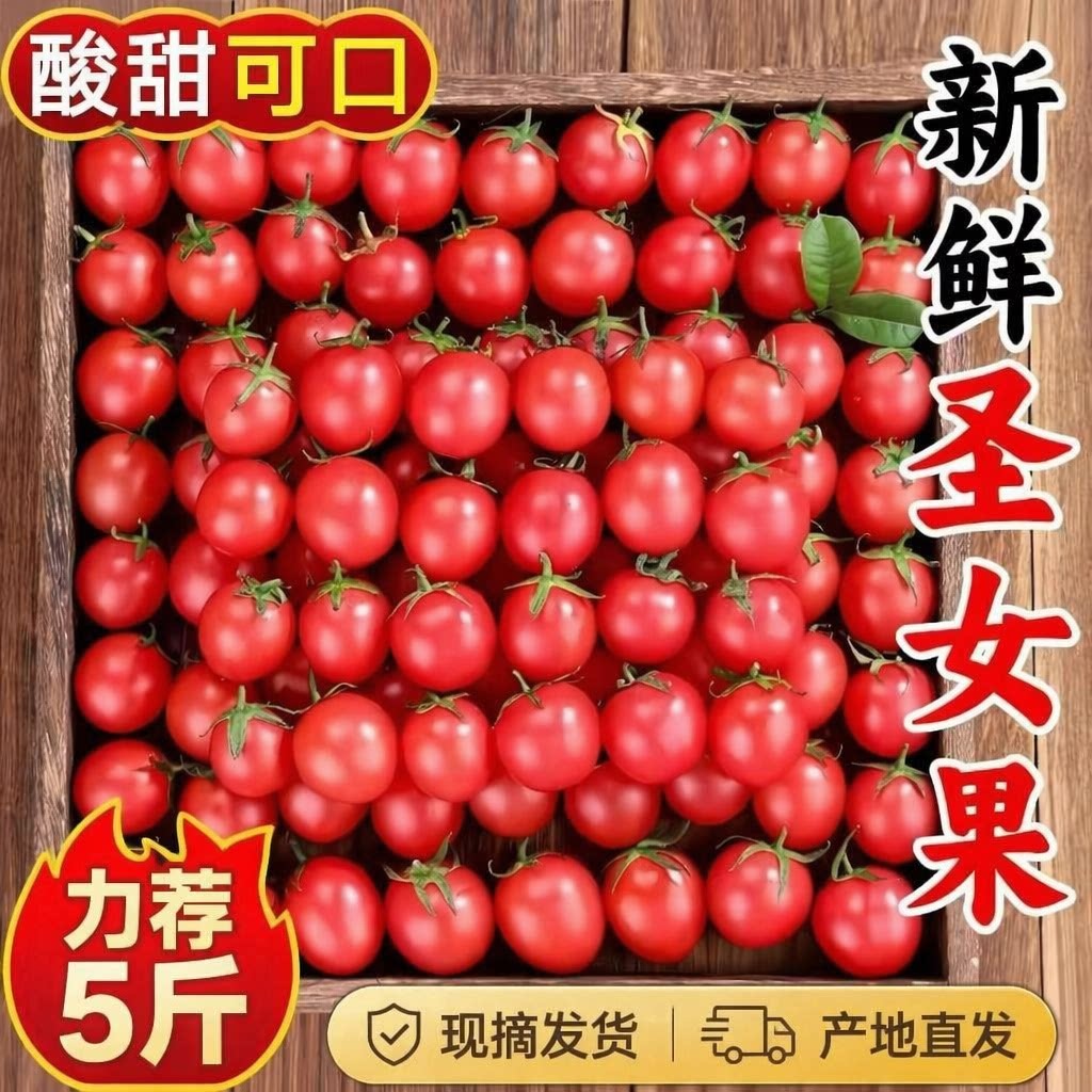 圣女果新鲜红色樱桃小番茄时令现货孕妇水果包邮一颗自提自然熟 水产肉类/新鲜蔬果/熟食 番茄 原图主图