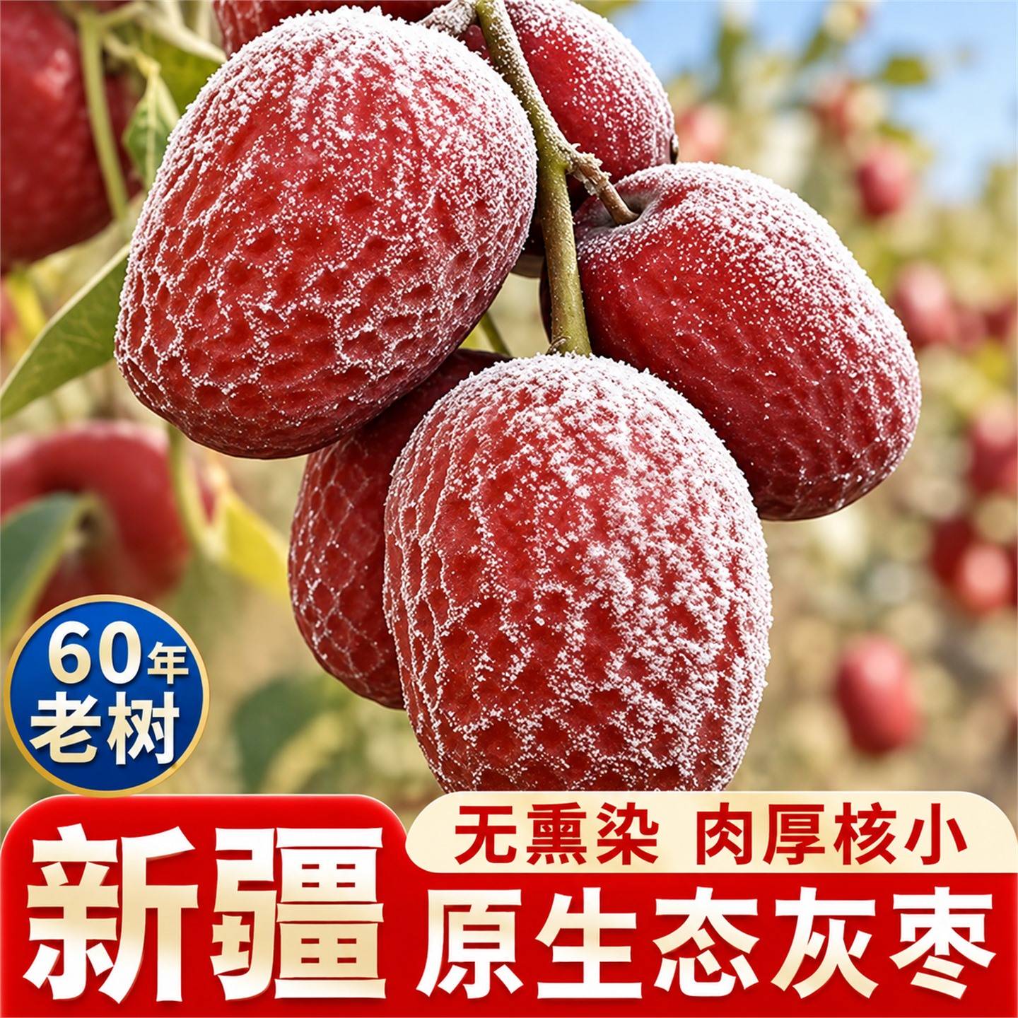 新疆若羌灰枣特大枣原生态未清洗特产级红枣新货1斤5斤吊干灰枣