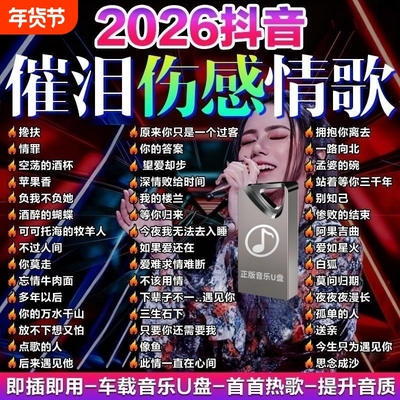 车载音乐u盘伤感中文情歌热门流行2025新款无损高品质车用优盘MP3