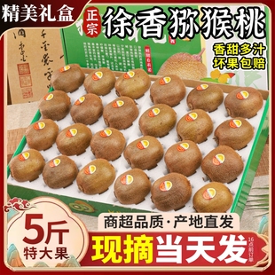 礼盒装 正宗陕西徐香猕猴桃5斤大果新鲜水果当季现摘绿心奇异果香