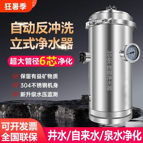 立式款黄泥水克星井水过滤器