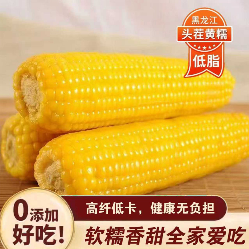 2025年新东北黄糯玉米10根真空包装新鲜现摘香粘粘苞米非即食粗粮