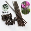 蝴蝶兰花支架兰夹子支撑杆植物爬藤花卉固定蔓藤类专用园艺兰花夹