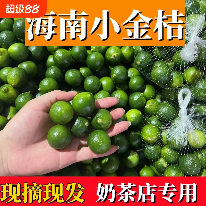 海南新鲜青小金桔柠檬奶茶果汁冷饮越南咖啡店配用包邮水果现摘