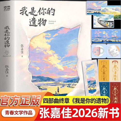 我是你的遗物张嘉佳正版新书