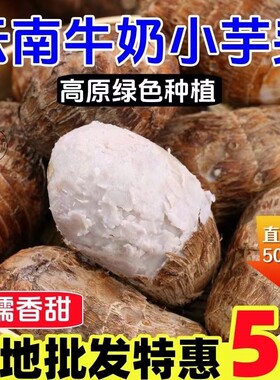 现挖新鲜超市供货装牛奶小芋头