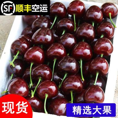 当季新鲜水果智利进口车厘子黑珍珠大樱桃4J脆甜爽口顺丰包邮