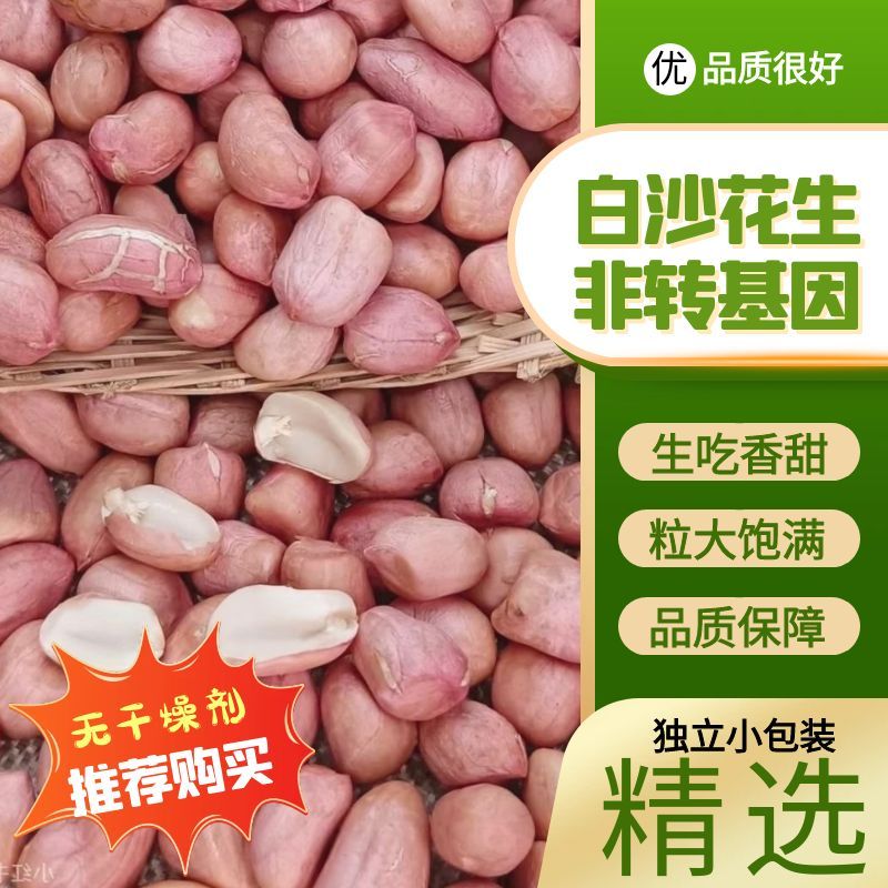 新鲜花生米新货白沙生花生米大颗粒农家自种散装去壳花生仁