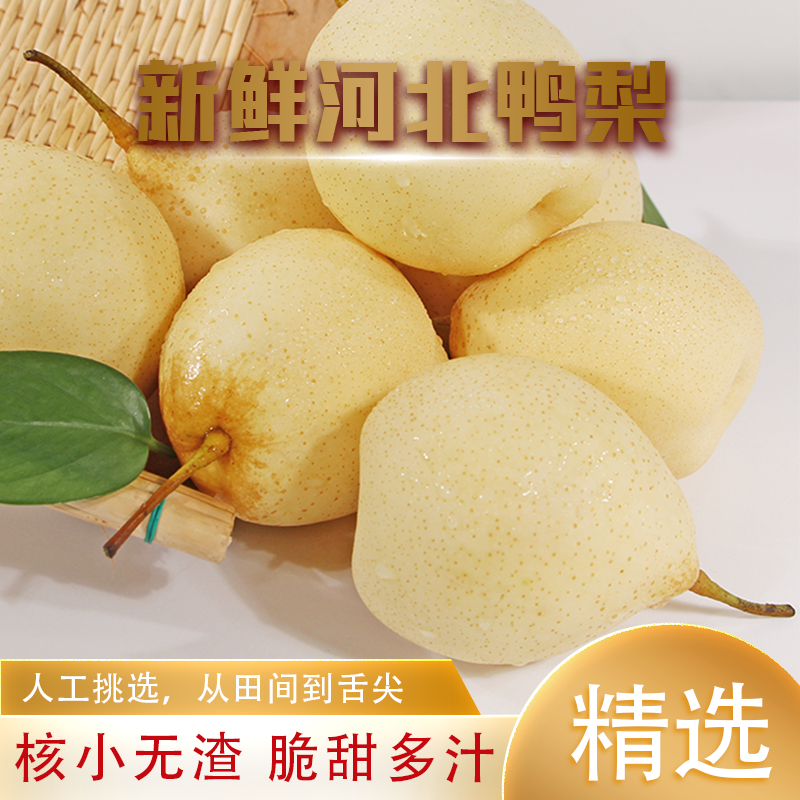 河北正宗鸭梨新鲜河北鸭梨水晶梨大白梨非雪花梨冰糖雪梨