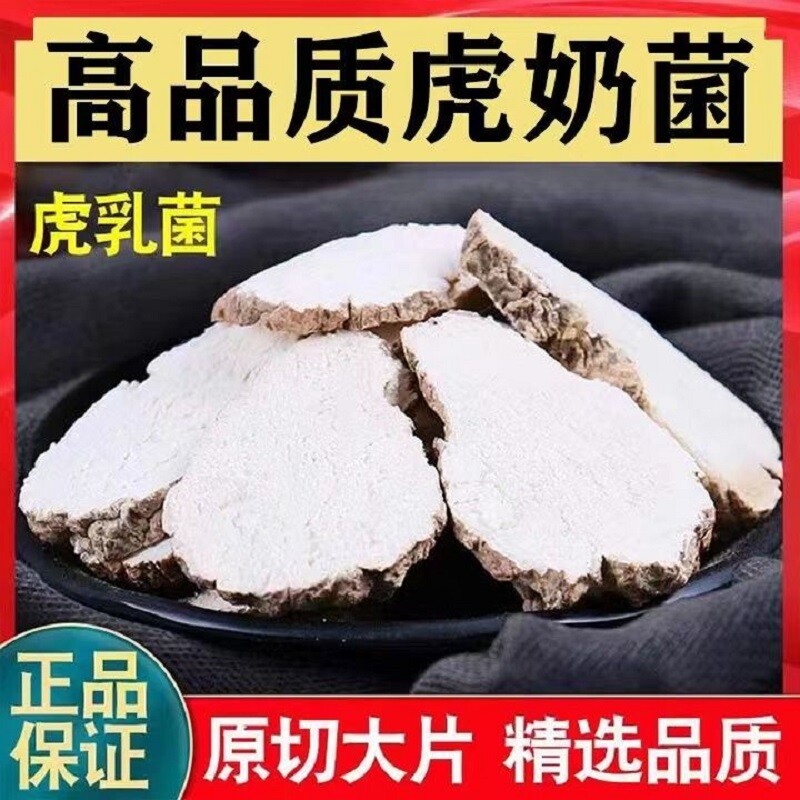 野生正宗虎乳菌虎奶菌原装云南儿童煲汤虎奶菌虎奶菇养生止咳