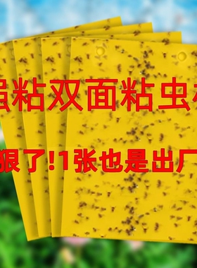 黄板双面粘虫板大棚专用小黑飞果蝇诱捕器诱虫板贴纸农用家用花园