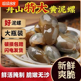 醉泥螺特大黄泥螺鲜活腌制潮汕生腌即食罐装舟山特产海鲜无沙新鲜