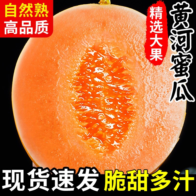 正宗黄河蜜瓜甜瓜新鲜水果应当季整箱包邮黄金脆香瓜哈密甘肃民勤图片