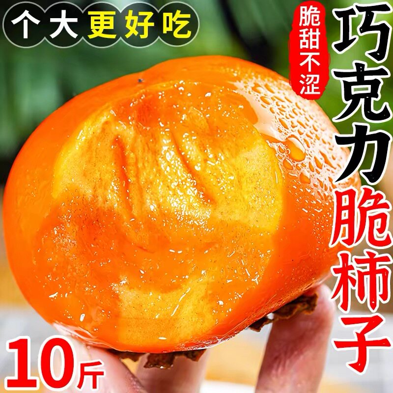 脆柿子巧克力柿子正宗新鲜应季水果现摘脆甜硬黄阳丰整箱包邮保存