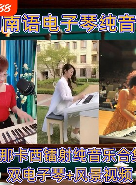 闽南那卡西浪漫电子琴高音质u盘双电子琴纯音乐车载U盘TF卡内存卡