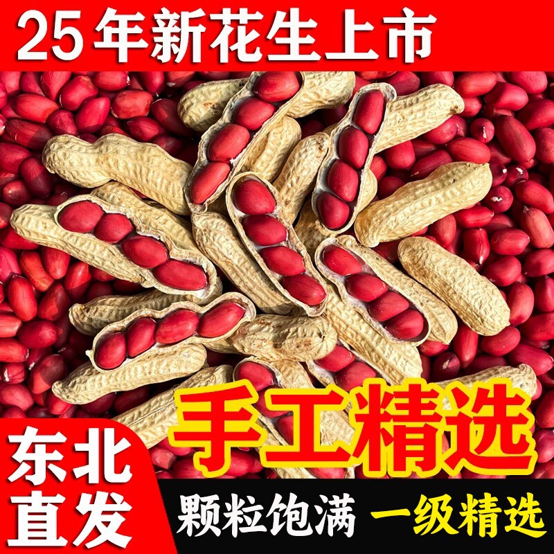 东北红皮生花生米2025年新货黑龙江四粒红衣花生仁农家新花生健康