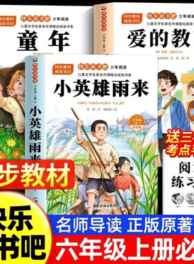 小英雄雨来六年级上册快乐读书吧全套3册童年必读的课外书高尔基六上阅读书目爱的教育亚米契斯管烨6上书籍秋季正版原著故事经典