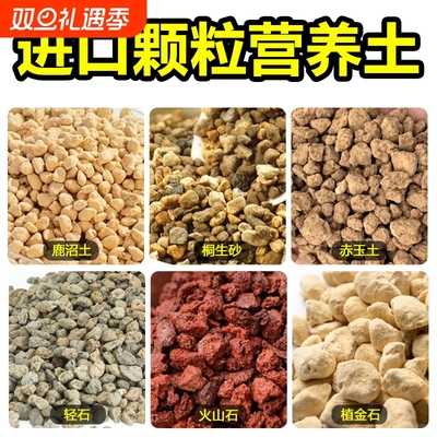 多肉兰花进口基质颗粒土