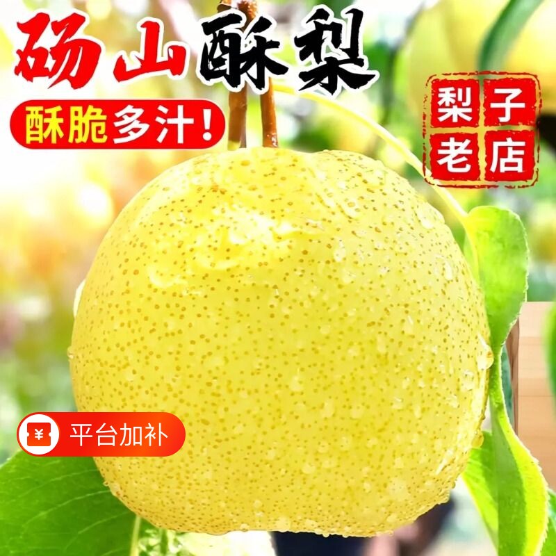 正宗砀山梨青梨酥梨当季水果梨子新鲜现摘安徽皇翠冠整箱香梨雪梨