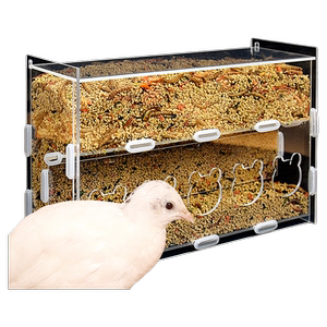 芦丁鸡喂食器小鸡食盒饲料盒鹌鹑鸽子鸟喂食盒亚克力食槽