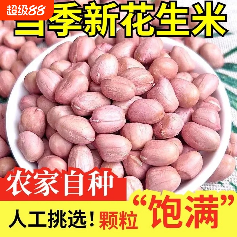 2025新白沙花生米现剥无壳粉皮新鲜圆润饱满香脆餐饮