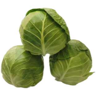 新甘蓝种农家自种甘蓝菜包心菜包心菜寿光新鲜蔬菜挑夫生鲜当季