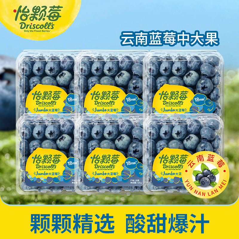 怡颗莓Jumbo云南蓝莓新鲜水果酸甜可口花青素125g