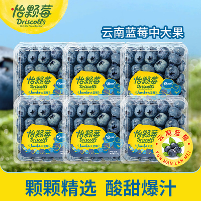 怡颗莓云南蓝莓新鲜水果酸甜可口