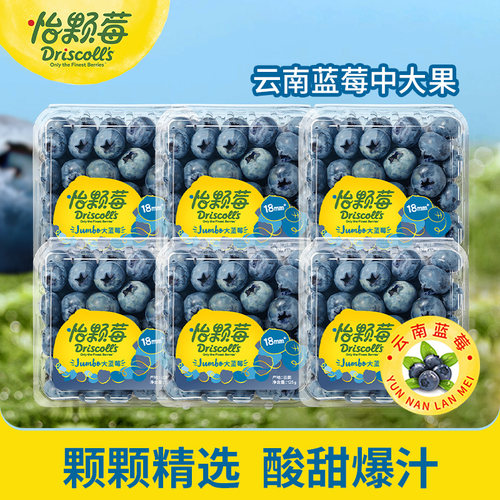 怡颗莓云南蓝莓新鲜水果酸甜可口