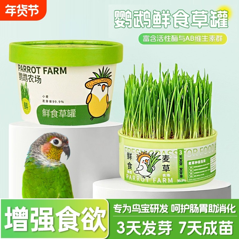 新鲜即食鹦鹉食用麦芽草鸟零食营养饲料啃咬鲜草虎皮牡丹玄凤鸟草,宠物/宠物食品及用品,鸟禽除臭剂,淘宝优惠券,粉丝福利购,淘宝优惠卷