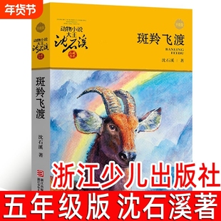 斑羚飞渡 正版沈石溪的书 沈石溪动物小说大王全集经典单本品藏书系 小学生课外书阅读三四五六年级 羚羊飞渡 斑羚飞度班羚飞渡