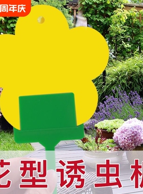 小飞虫克星花型诱虫板双面粘虫板小黑飞粘虫纸家用黄色果蝇诱捕器