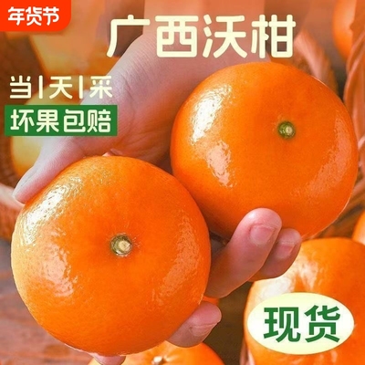 正宗广西武鸣区沃柑新鲜采摘应当季水果整箱包邮甜蜜多汁桔子橘子