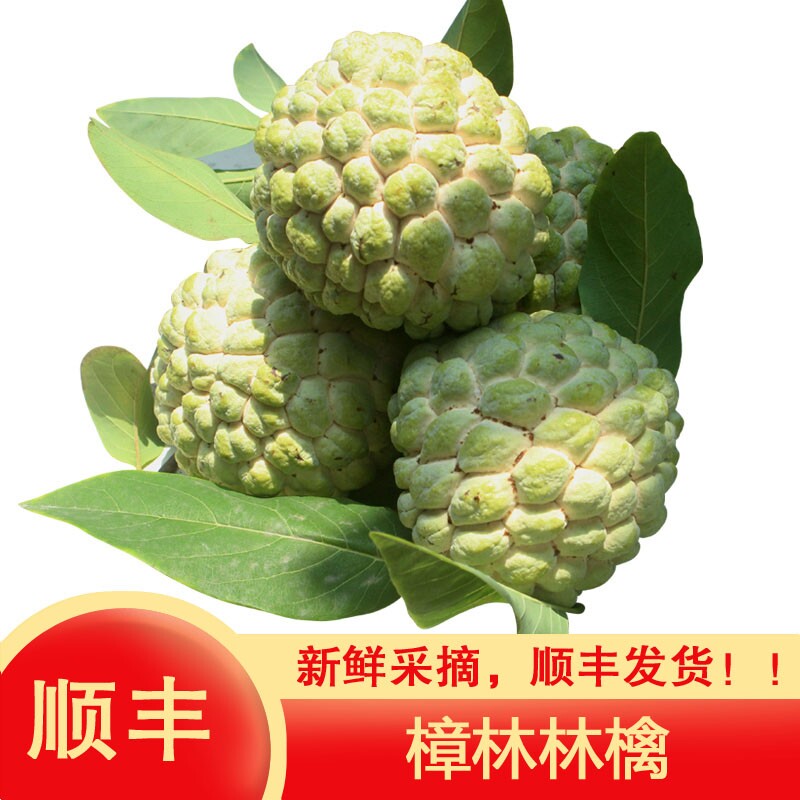 顺丰潮汕樟林林檎大目释迦果大个番荔枝佛头果牛奶释迦摩尼果水果图片