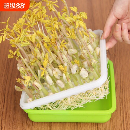 豆芽盆A1pn700-发芽盆无土栽培蔬菜种植育苗盘芽苗水培盒花生专
