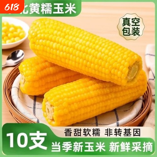 东北黄糯玉米新鲜黄甜糯粘玉米真空锁鲜包装加热即食玉米粗粮代餐
