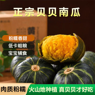 正宗板栗味贝贝南瓜小南瓜新鲜宝宝粉糯惠和包邮辅食金瓜低卡黄金