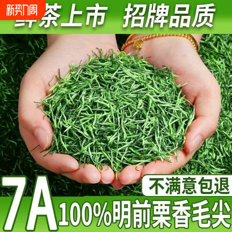 特级毛尖正宗新茶叶明前嫩芽浓香耐泡高山手工绿茶散装茶叶自己喝