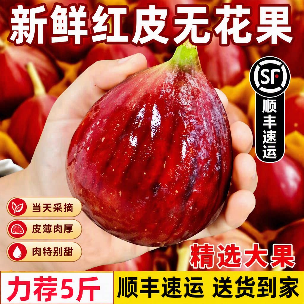 【顺丰】新鲜现摘无花果鲜果大果波姬红/芭劳奈无花果紫皮无花果