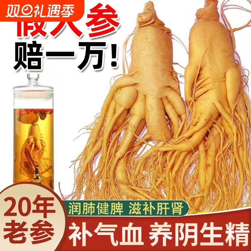 特大人参长白山保鲜参吉林白参新鲜人参泡酒送礼专用滋补煲汤补气